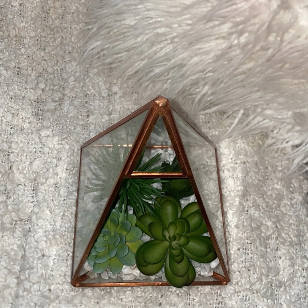 New succulent glass dome decor